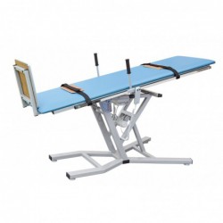 Stół pionizacyjny SP-E1